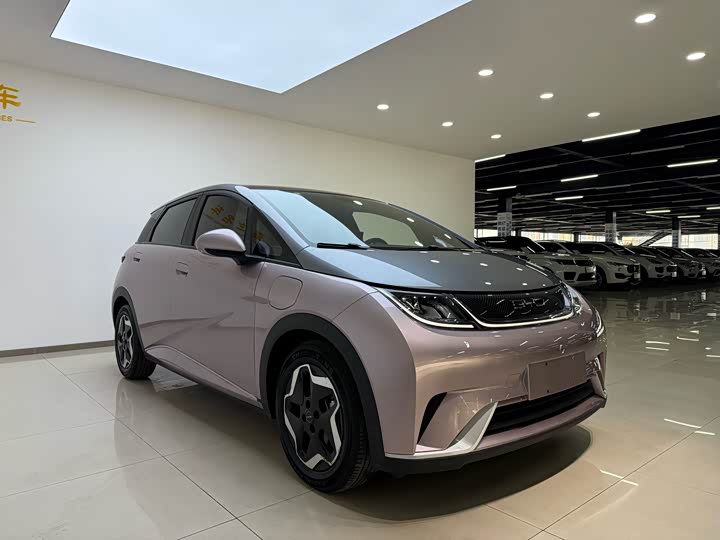 Фото 4 - BYD Dolphin