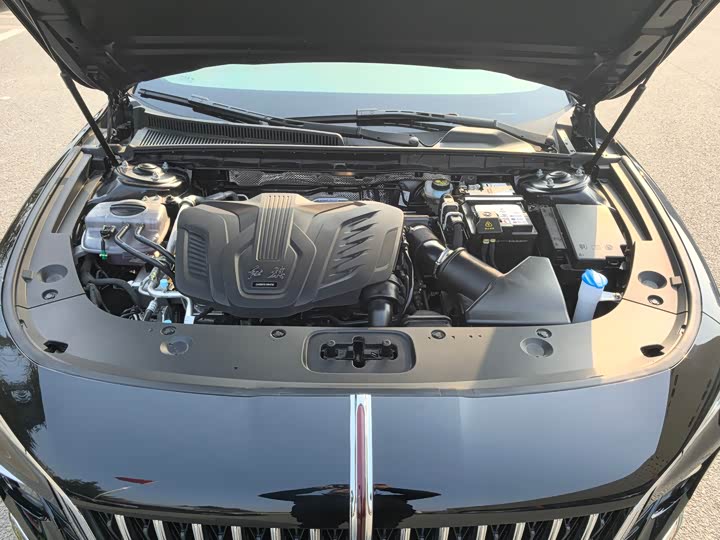 Фото 6 - Hongqi H5