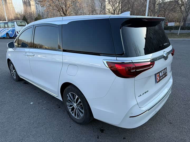 Фото 7 - Buick GL8 ES