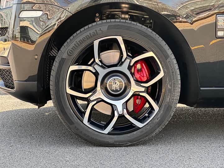 Фото 8 - Rolls-Royce Cullinan