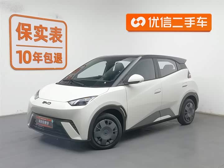 Фото 1 - BYD Seagull