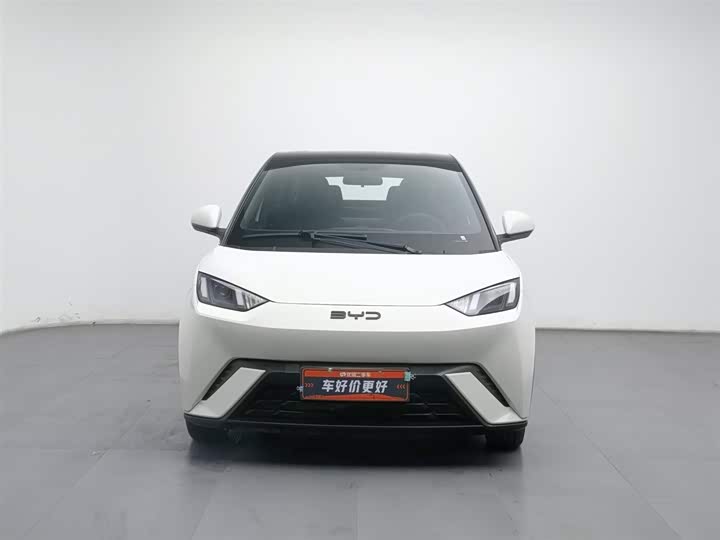 Фото 3 - BYD Seagull