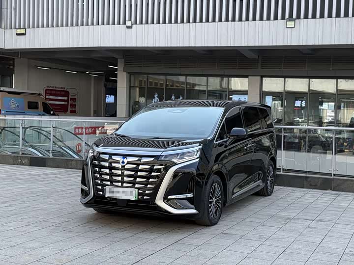 Фото 1 - Denza D9