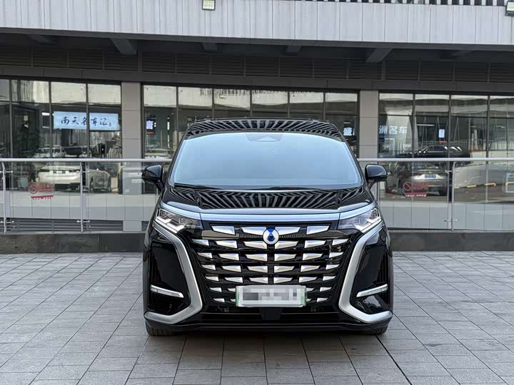 Фото 2 - Denza D9