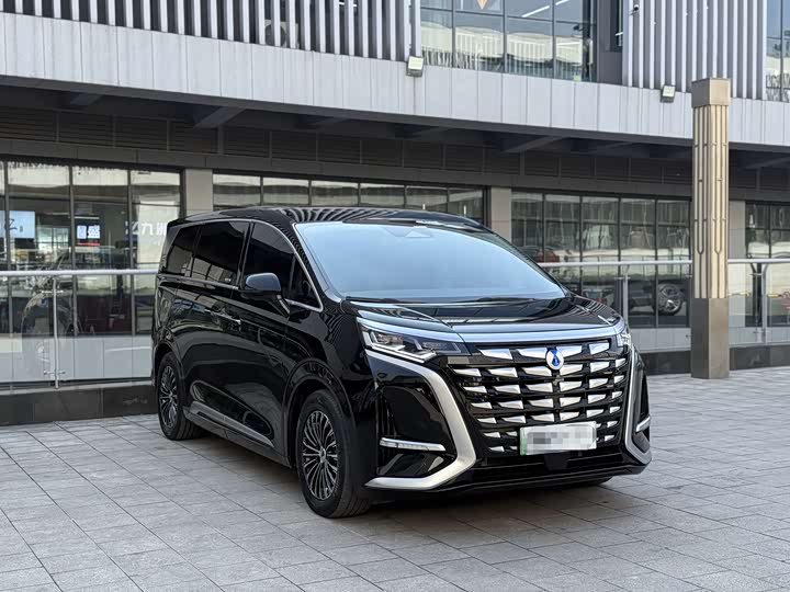 Фото 3 - Denza D9