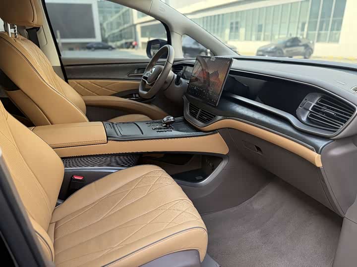 Фото 6 - Denza D9