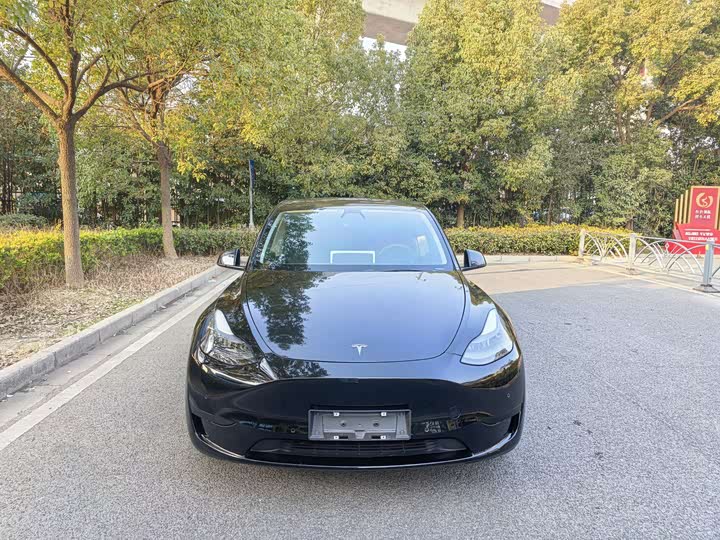 Фото 2 - Tesla Model Y