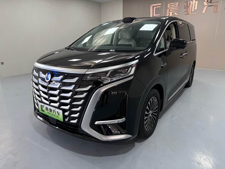 Фото 1 - Denza D9