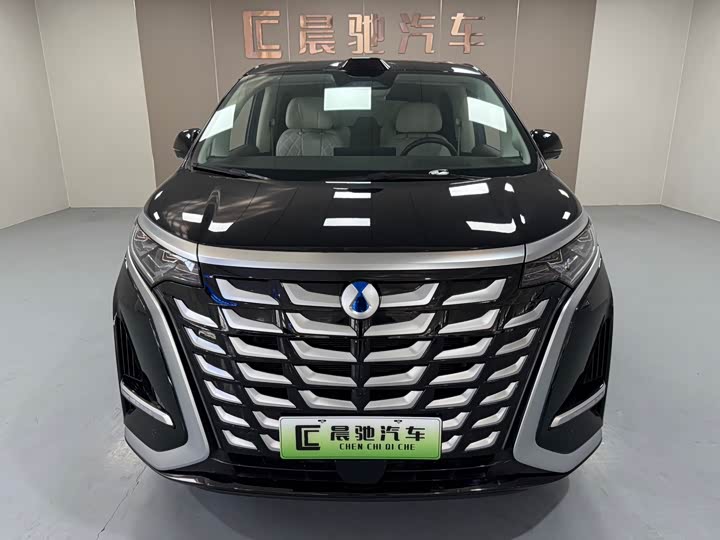 Фото 2 - Denza D9