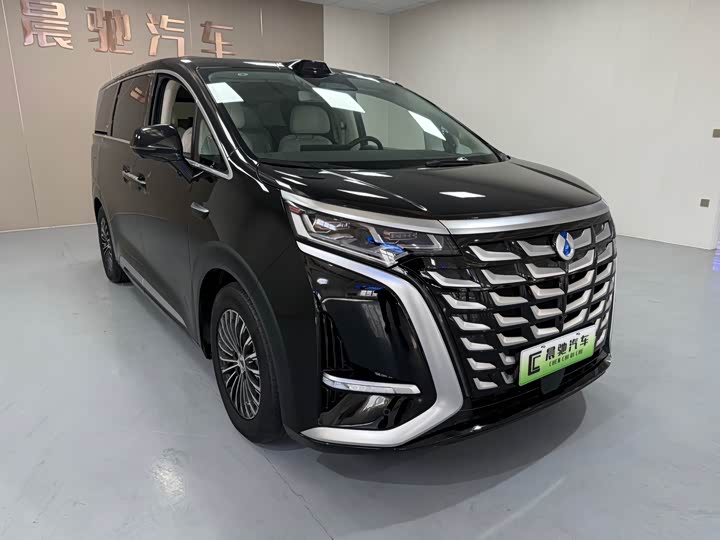 Фото 3 - Denza D9