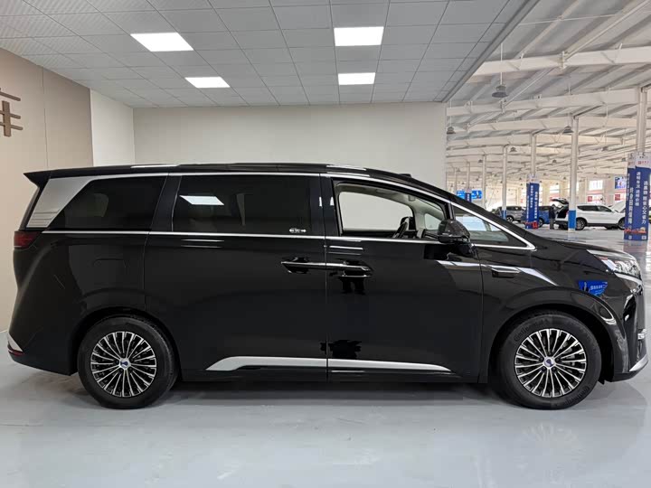 Фото 8 - Denza D9