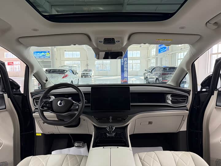 Фото 9 - Denza D9