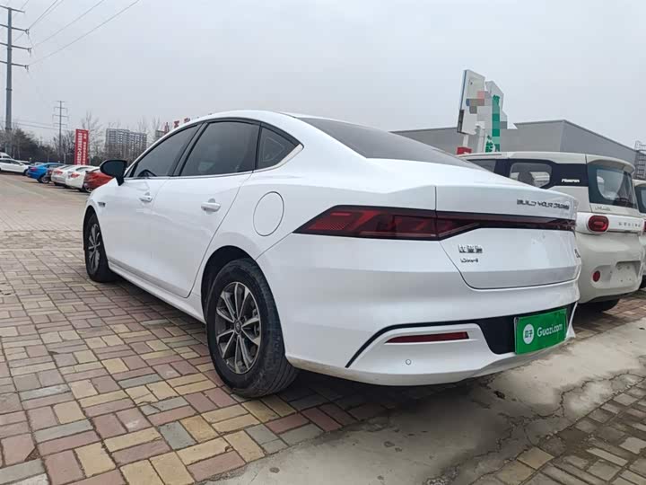 Фото 5 - BYD Qin Plus