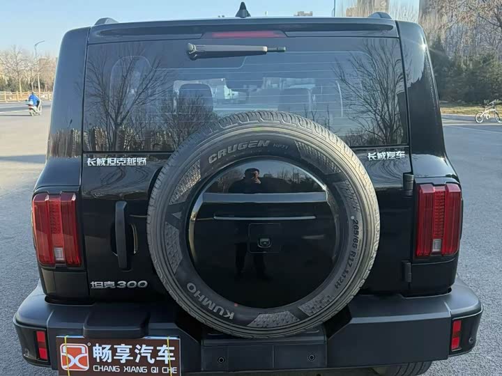 Фото 9 - Tank 300