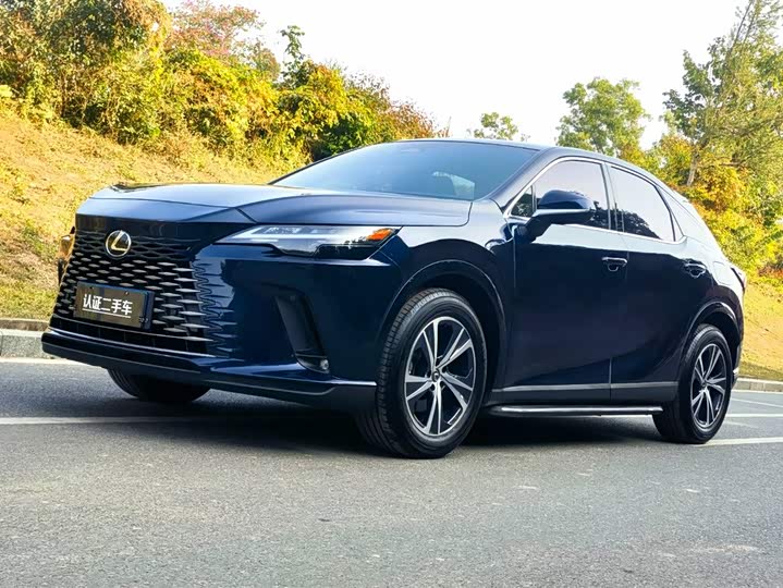 Фото 1 - Lexus RX