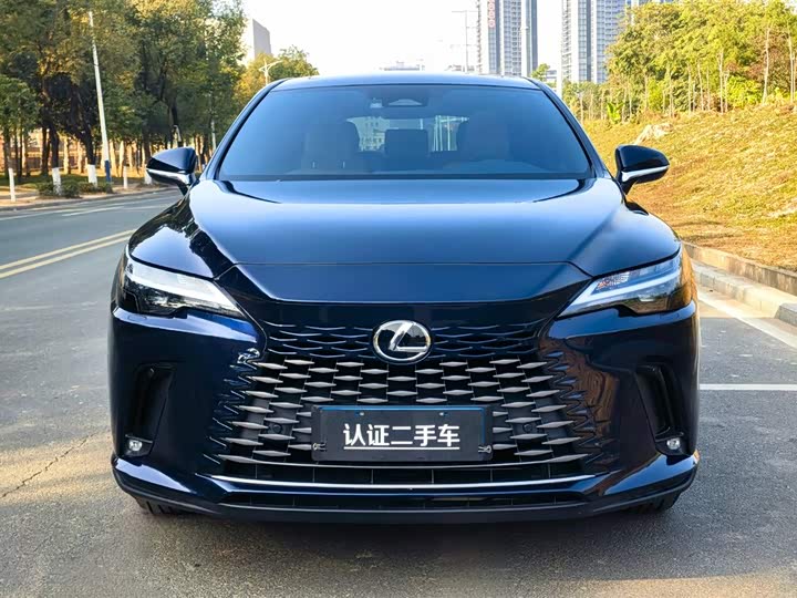 Фото 2 - Lexus RX