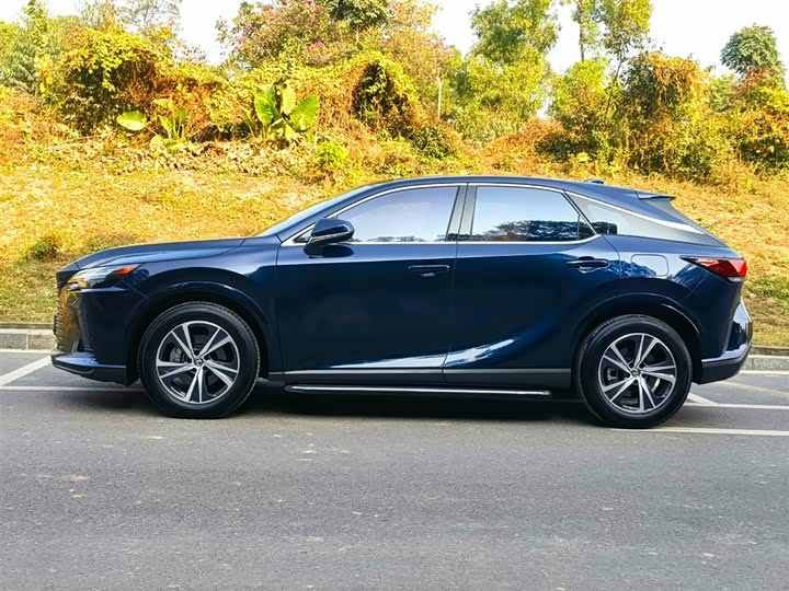 Фото 4 - Lexus RX