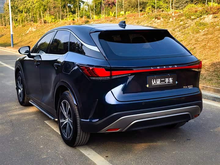 Фото 5 - Lexus RX