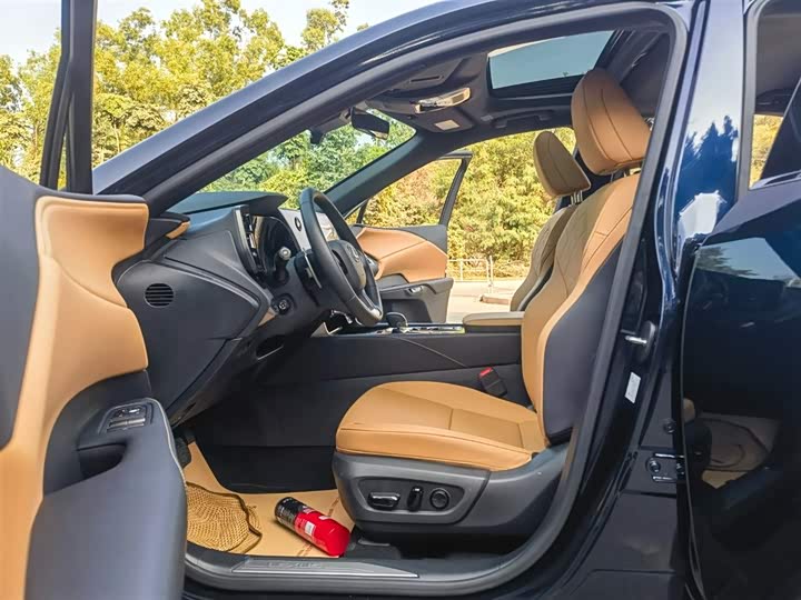 Фото 9 - Lexus RX