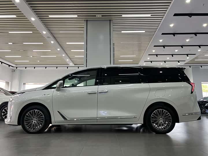 Фото 3 - Buick GL8 Hybrid