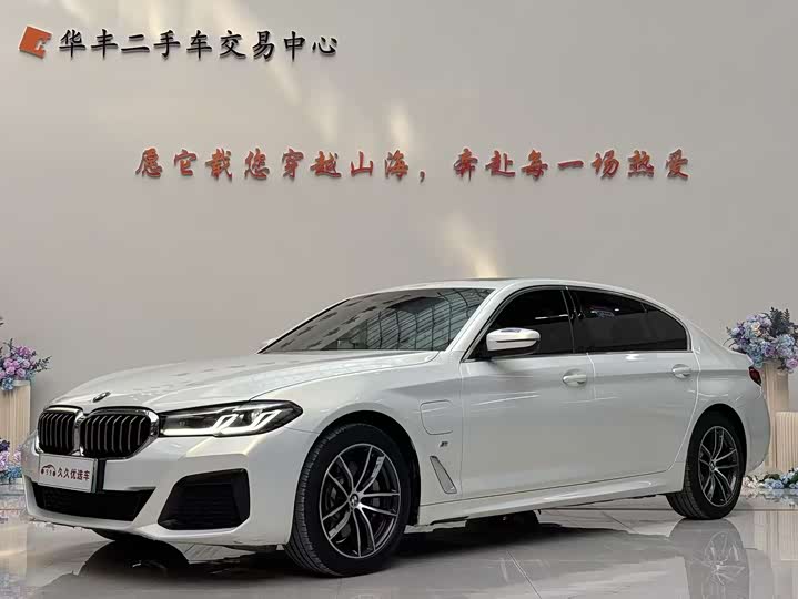 Фото 1 - BMW 5 Series Hybrid