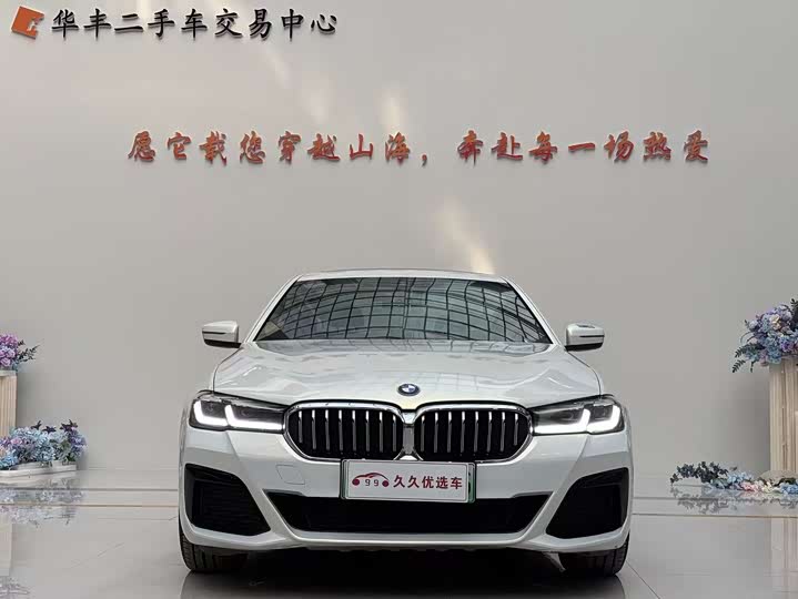 Фото 2 - BMW 5 Series Hybrid