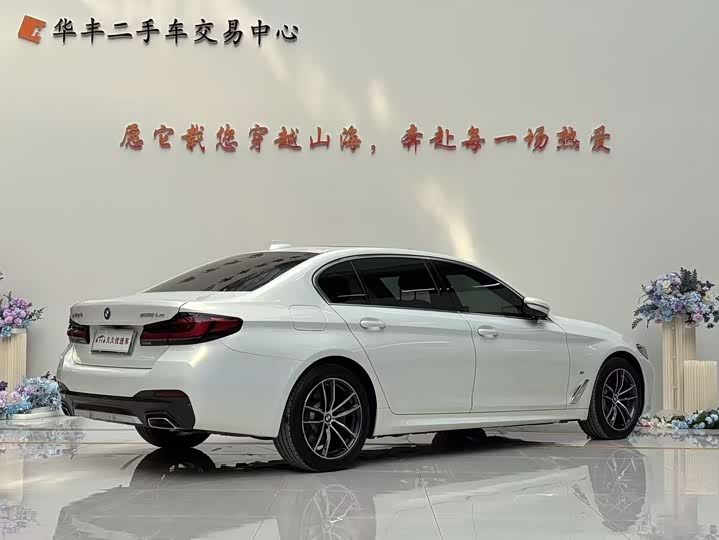 Фото 4 - BMW 5 Series Hybrid