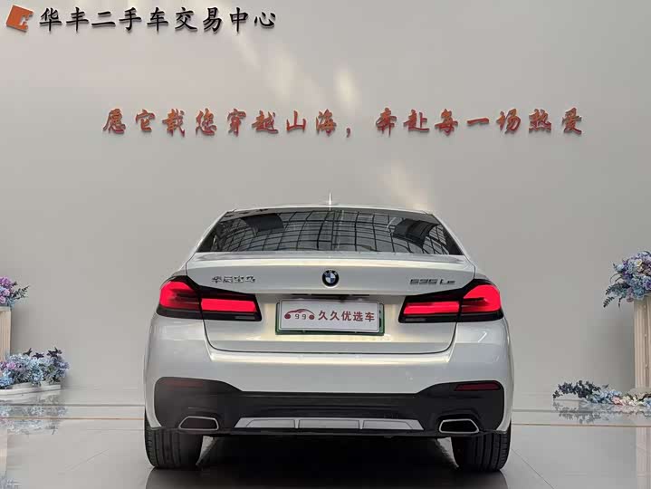 Фото 5 - BMW 5 Series Hybrid