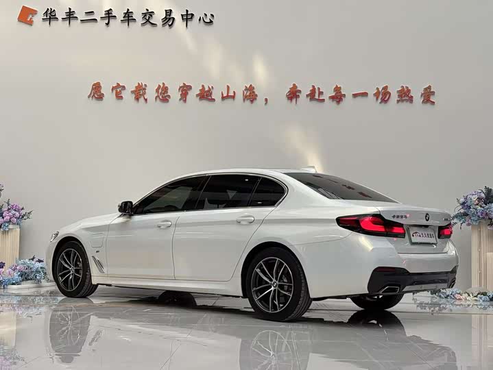 Фото 6 - BMW 5 Series Hybrid