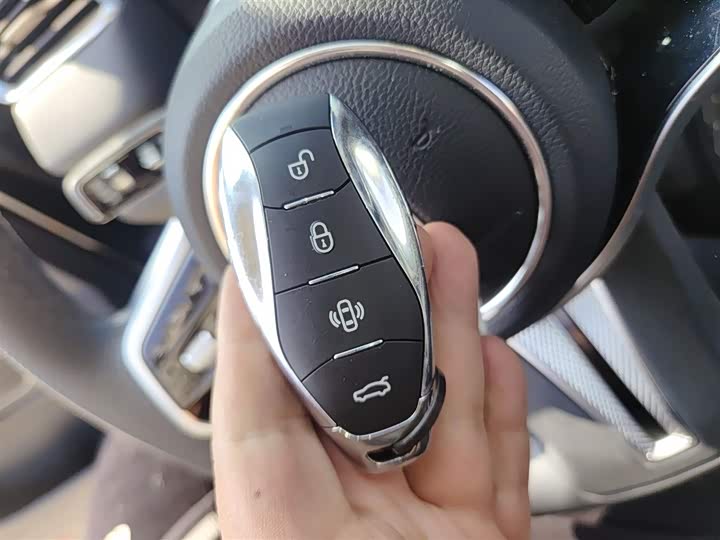 Фото 9 - Hongqi HS7 Hybrid