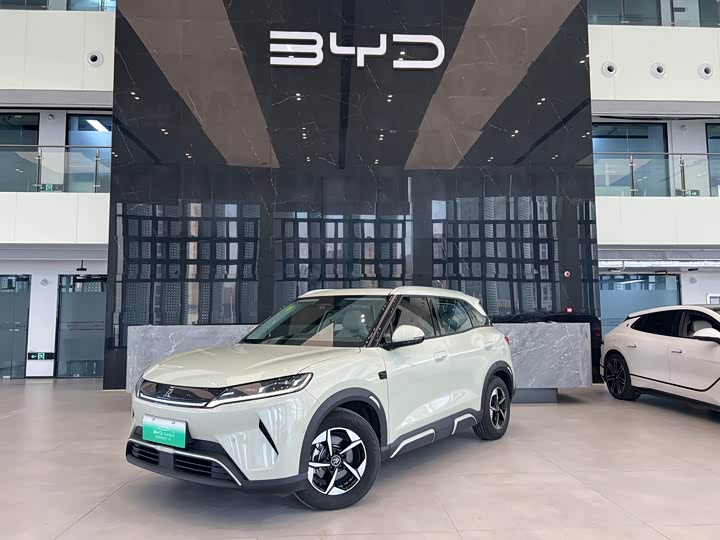 Фото 1 - BYD Yuan Up