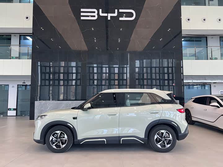 Фото 3 - BYD Yuan Up