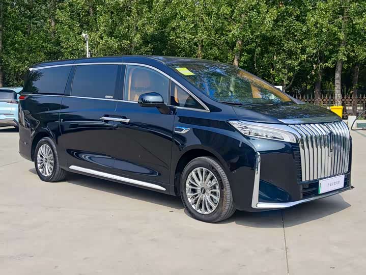 Фото 2 - Wey Gaoshan