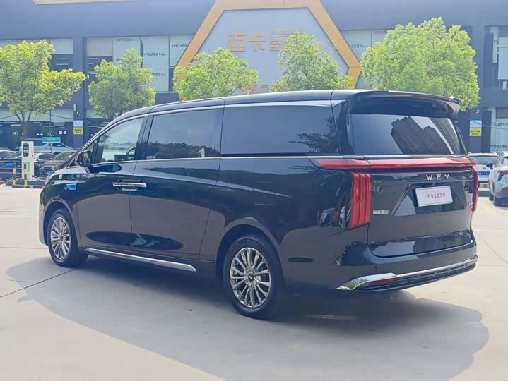 Фото 4 - Wey Gaoshan