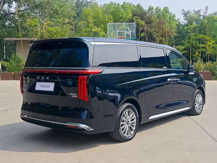 Фото 5 - Wey Gaoshan