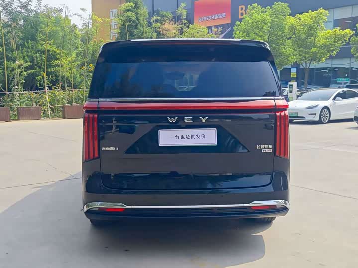 Фото 6 - Wey Gaoshan