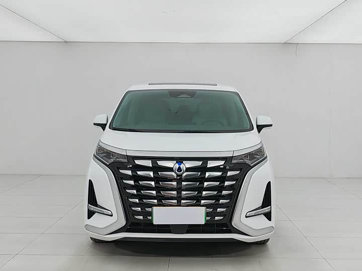 Фото 2 - Denza D9