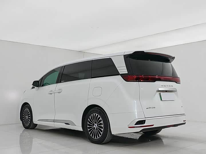 Фото 4 - Denza D9