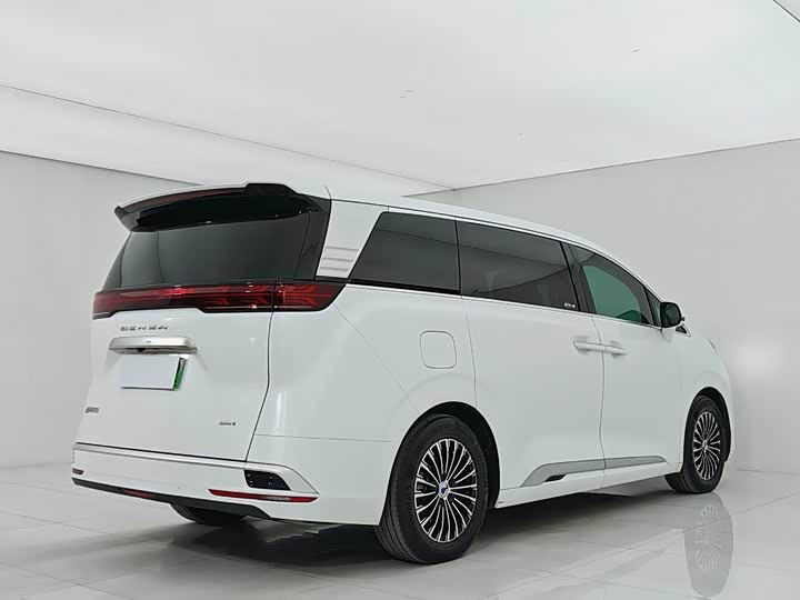 Фото 6 - Denza D9