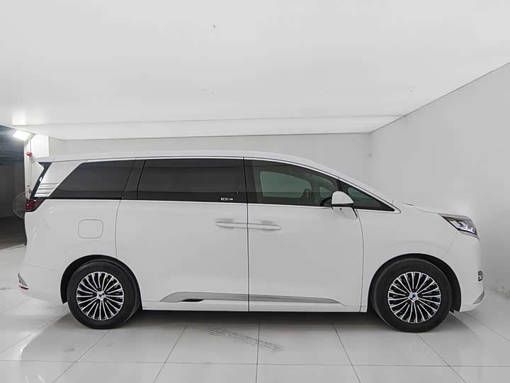 Фото 8 - Denza D9