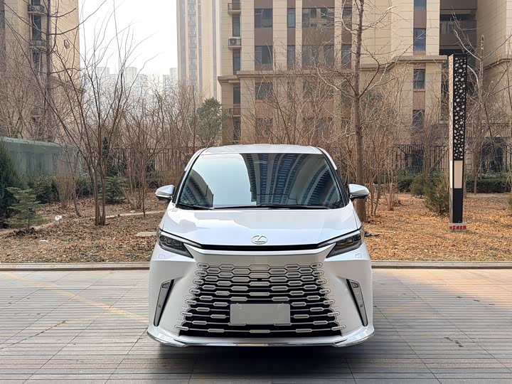 Фото 3 - Lexus LM
