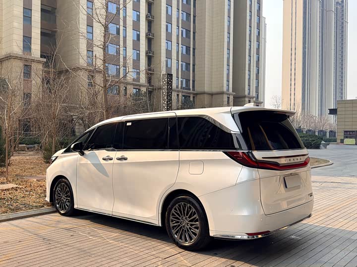 Фото 7 - Lexus LM