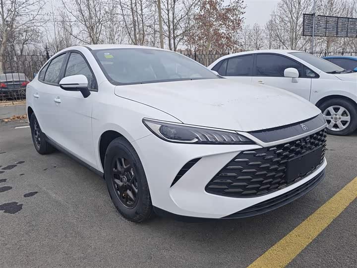 Фото 4 - BYD Qin Plus