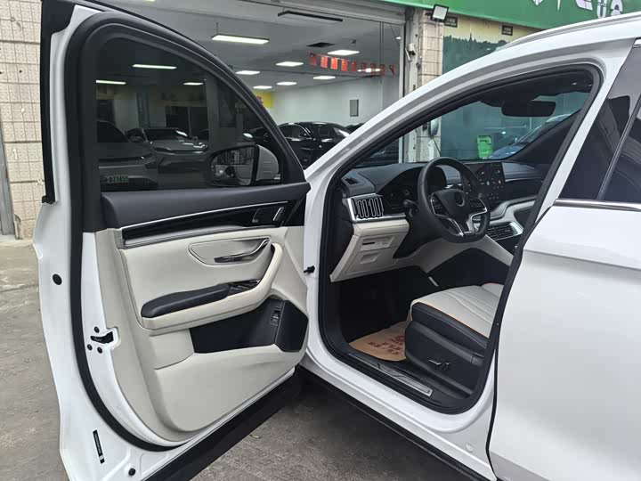 Фото 7 - BYD Song Plus Hybrid/EV