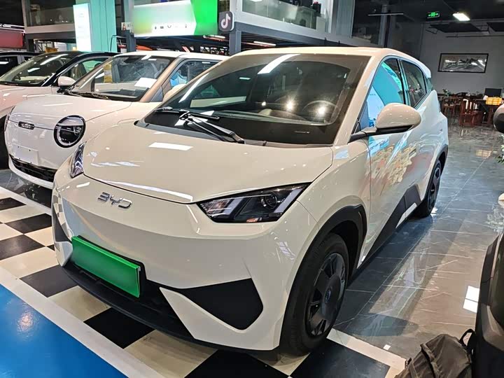 Фото 1 - BYD Seagull