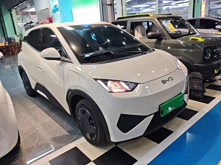 Фото 4 - BYD Seagull