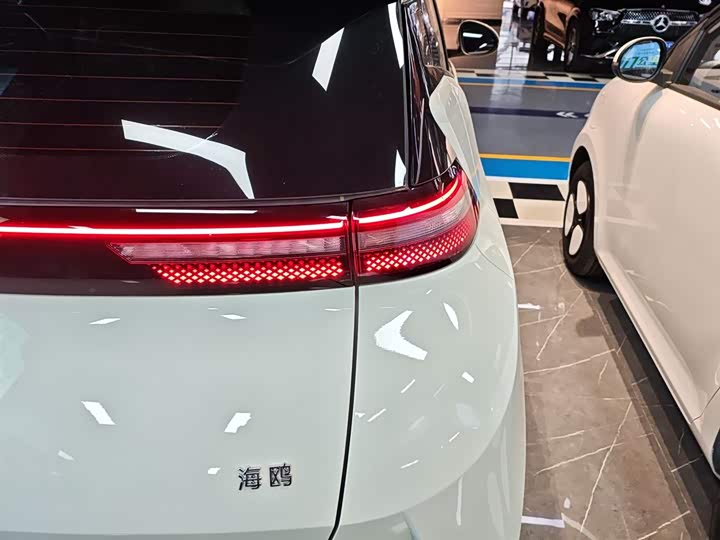 Фото 8 - BYD Seagull