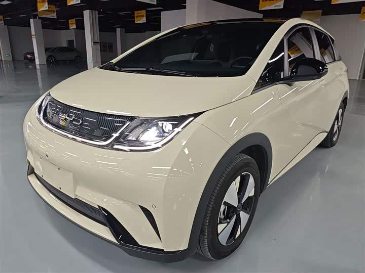 Фото 2 - BYD Dolphin