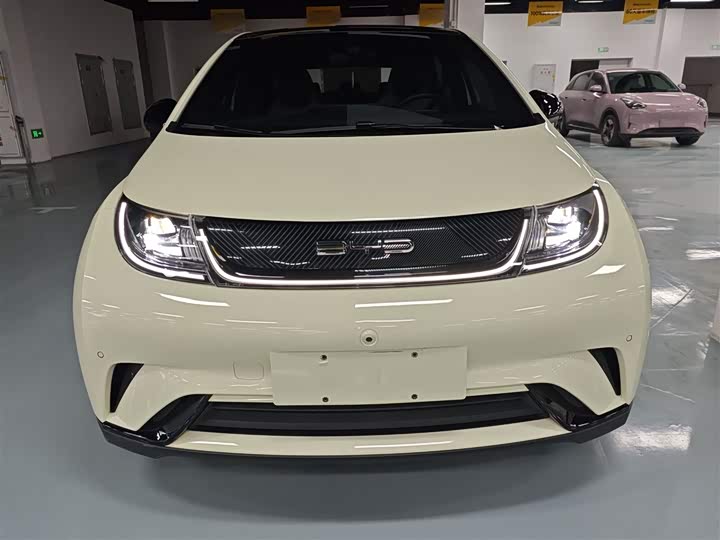 Фото 3 - BYD Dolphin