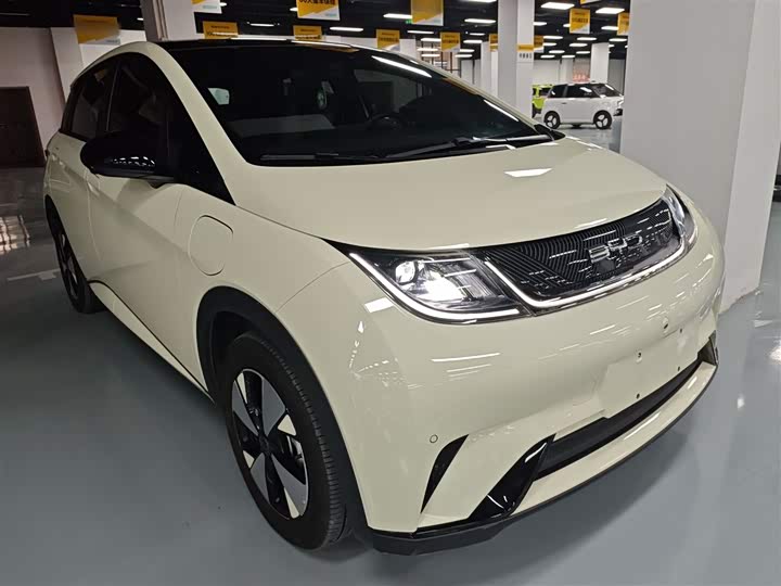 Фото 4 - BYD Dolphin